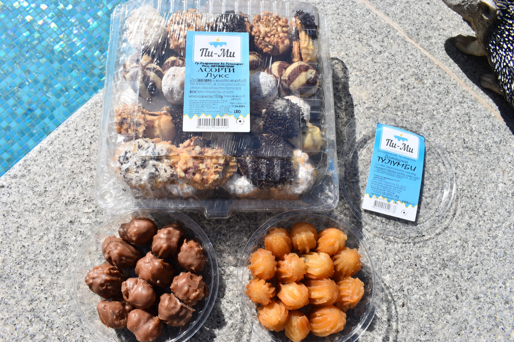 490476660_1224395526362601_7546270816029119983_n